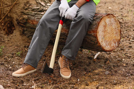 Handsome lumberjack with ax in forest