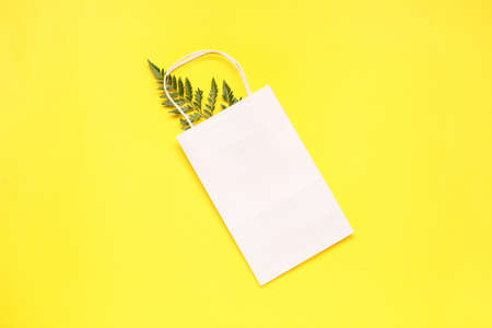 Paper shopping bag on color backgroundの写真素材