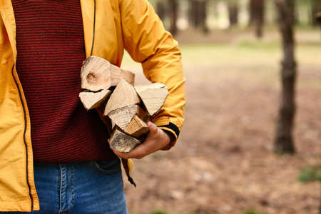 Handsome lumberjack with tree logs in forestの写真素材