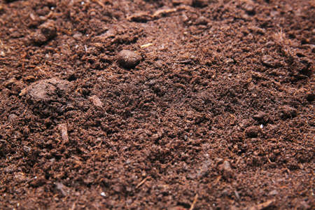 Texture of soil as background