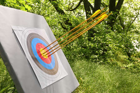 Target for archery with arrows in forest