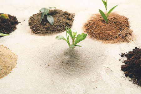 Different types of soil with green plants on light backgroundの写真素材