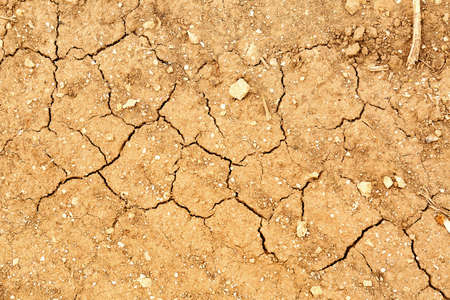 Dry soil outdoors, top view