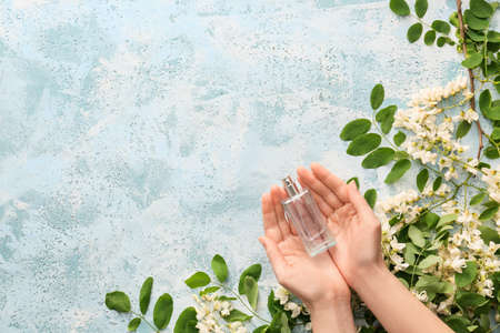 Female hands with perfume and flowers on color background