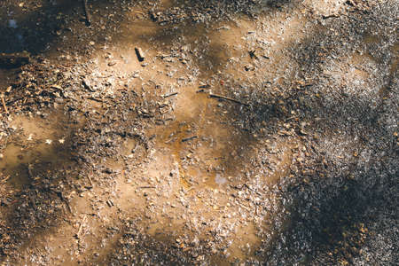 View of wet soil outdoors. Concept of pollutionの写真素材