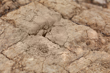 Texture of dry soil, closeup view