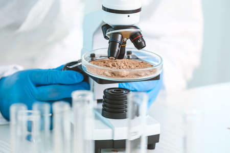 Scientist studying samples of soil in laboratory