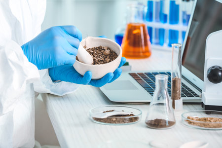 Scientist studying samples of soil in laboratoryの写真素材