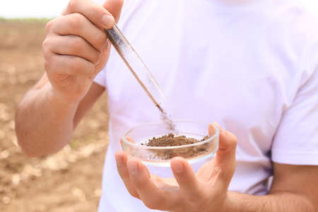 Agronomist with sample of soil in field, closeup