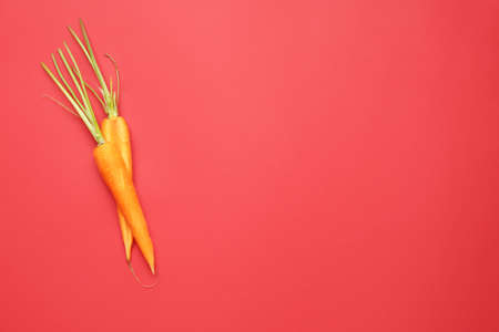 Cut fresh carrot on color backgroundの写真素材