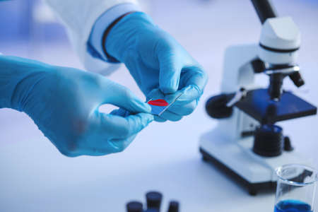 Scientist working with sample in laboratory, closeup