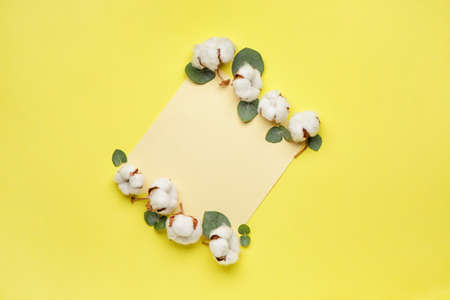 Blank card, beautiful cotton flowers and eucalyptus leaves on color background