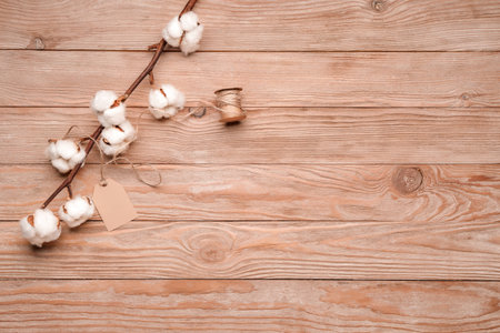 Beautiful cotton branch on wooden backgroundの写真素材