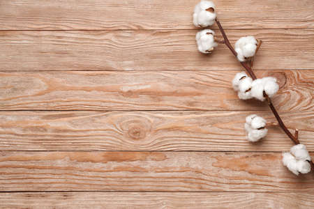 Beautiful cotton branch on wooden backgroundの写真素材