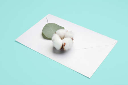Envelope and beautiful cotton flower on color background