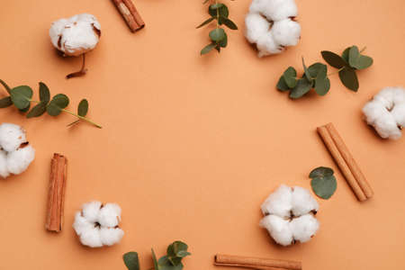 Beautiful composition with cotton flowers on color backgroundの写真素材