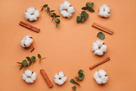 Beautiful composition with cotton flowers on color backgroundの写真素材