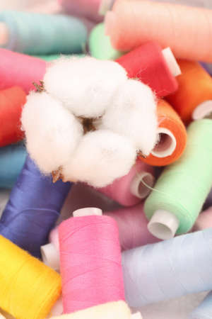 Cotton flower and threads, closeupの写真素材