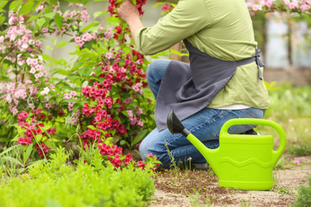 Male gardener with watering can in greenhouseの写真素材