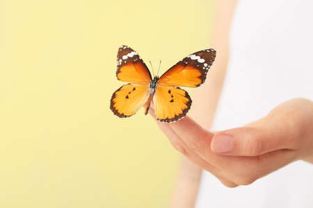 Woman with beautiful butterfly, closeupの写真素材