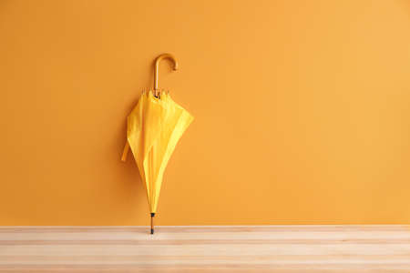 Stylish umbrella on color backgroundの写真素材