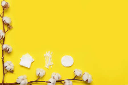 Cotton flowers with cosmetic pads and swabs on color backgroundの写真素材
