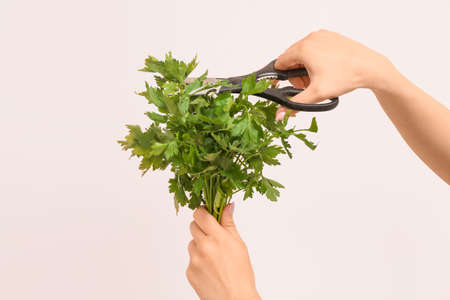 Woman cutting fresh parsley on light backgroundの写真素材
