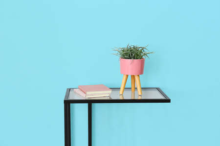 Modern table with houseplant and books near color wall in roomの写真素材