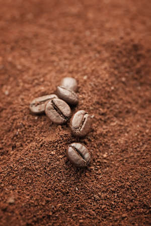 Roasted coffee beans on powderの写真素材
