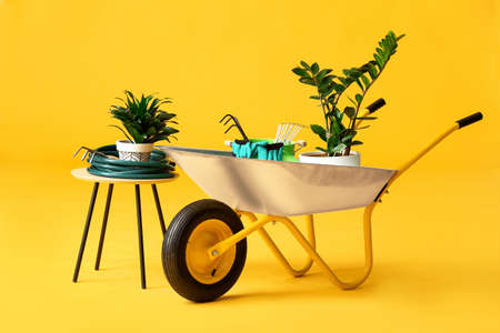 Set of gardening supplies on color backgroundの写真素材