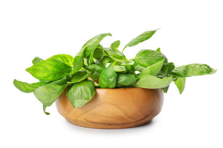 Bowl with fresh green basil isolated on whiteの写真素材