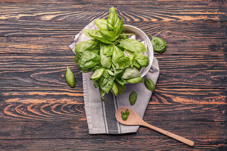 Composition with fresh basil on wooden tableの写真素材