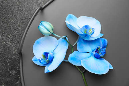 Tray with beautiful orchid flowers on dark backgroundの写真素材