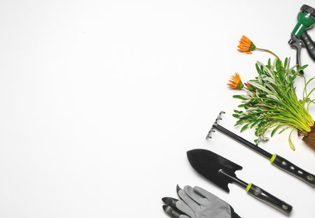Set of gardening supplies with plant on white backgroundの写真素材