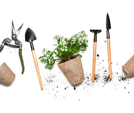 Set of gardening supplies with plant on white backgroundの写真素材