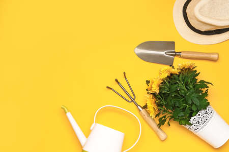 Set of gardening supplies with plant on color backgroundの写真素材