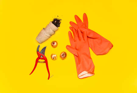 Set of gardening supplies on color backgroundの写真素材