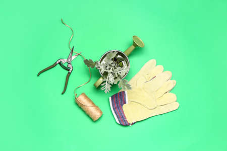Set of gardening supplies with plant on color backgroundの写真素材