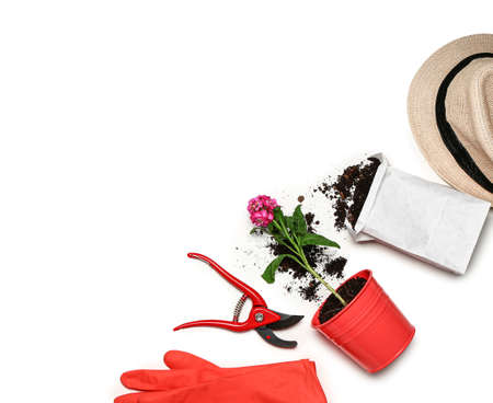 Set of gardening supplies with plant on white backgroundの写真素材