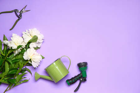 Set of gardening supplies with flowers on color background