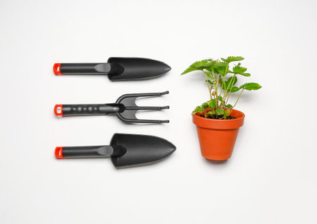 Set of gardening supplies with plant on white backgroundの写真素材
