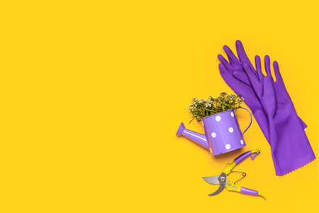 Set of gardening supplies with plant on color backgroundの写真素材