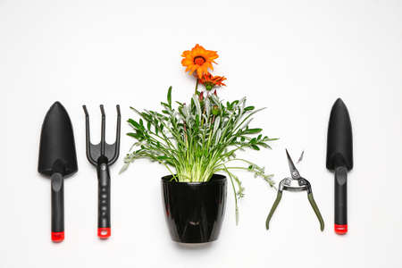 Set of gardening supplies with plant on white backgroundの写真素材