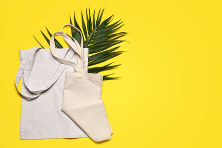 Eco bags on color backgroundの写真素材