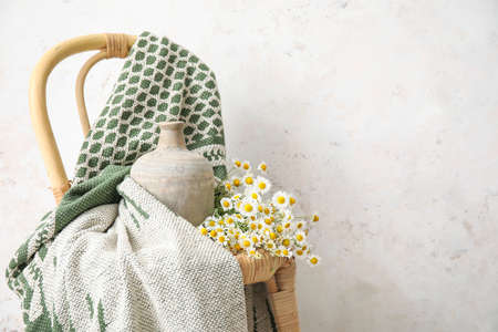 Vase with beautiful chamomiles and plaid on chair against light backgroundの写真素材