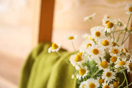 Beautiful chamomiles near wooden wall, closeupの写真素材