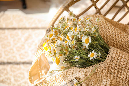 Chair with bag and chamomiles in roomの写真素材