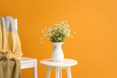 Table with beautiful chamomiles and chair with plaid on color background