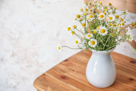 Vase with beautiful chamomiles on chair against light background