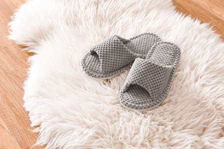 Pair of soft slippers on fluffy rugの写真素材